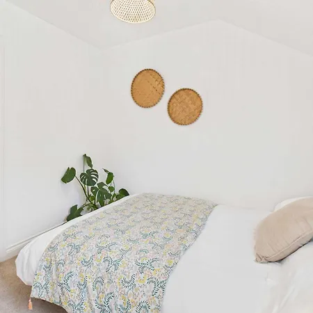 Host & - Bracken * 斯托克斯利